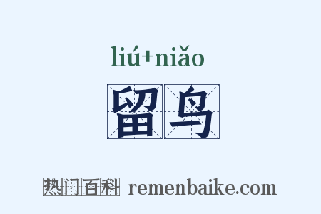 留鸟是什么意思的图片